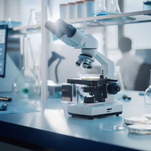 Lab bench with a microscope, computer screen, and samples